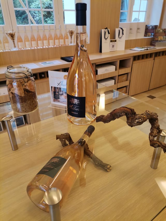 Wine tour in Saint tropez country side - AOP Côtes de provence 3