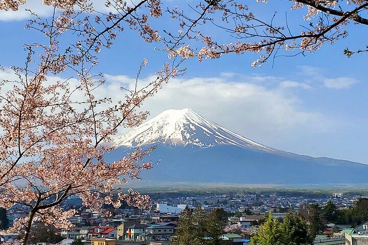 3 Days Private Tour Tokyo, Mt. Fuji and Hakone