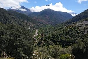 Private Day Tour from Marrakech To Ourika Valley and Atlas Mountain