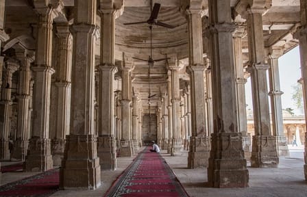 Gujarat 15-Day Cultural and Wildlife Discovery Tour