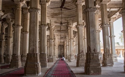 Gujarat 15-Day Cultural and Wildlife Discovery Tour