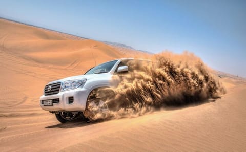 Doha City and Mesaieed Desert Safari Full-Day Tour