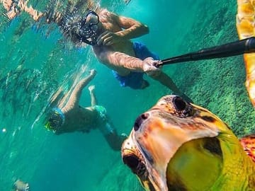Surfing Lessons in Weligama, Sri Lanka for All Skill Levels