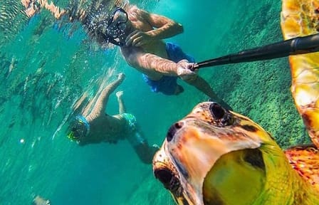 Introductory Diving Experience in Hurghada, Egypt