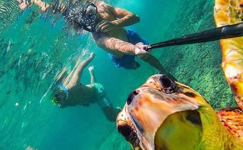 Introductory Diving Experience in Hurghada, Egypt