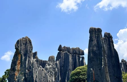 Kunming City Tour with Stone Forest and Roast Duck Lunch