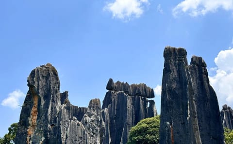 Kunming City Tour with Stone Forest and Roast Duck Lunch
