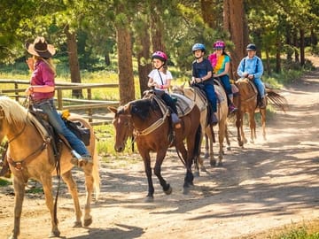 Horseback Riding Tour Through the Dominican Jungle