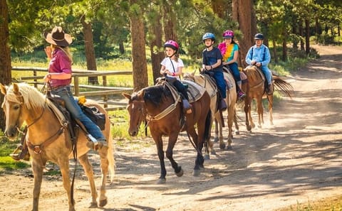 Horseback Riding Tour Through the Dominican Jungle