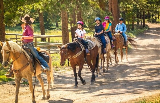 Horseback Riding in the Dominican Jungle