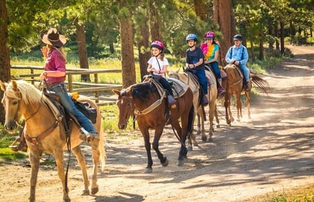 Horseback Riding Tour Through the Dominican Jungle
