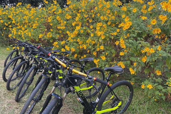 Chiang mai Suthep National Park Leisure Hiking & Mountain Biking