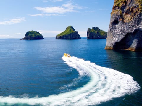 Private tour to Westman Islands with waterfall visit, photo 2