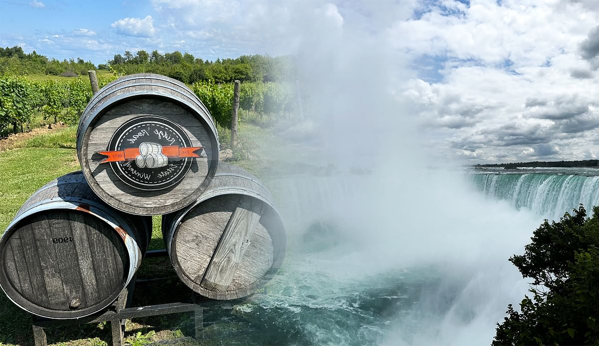 Niagara Falls Wine & Scenic Tour: Explore Wineries from Toronto