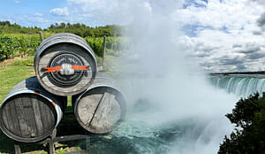 Niagara Falls Wine Tour from Toronto on RV-Motorhome