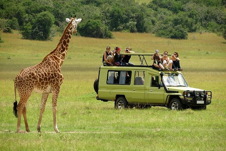 Nairobi National Park and Giraffe Center Guided Day Tour