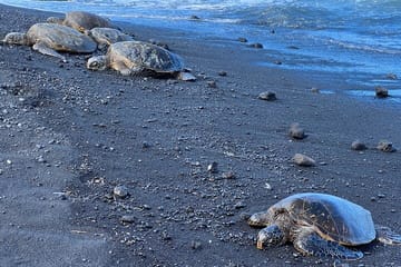 Private Custom All-Inclusive Big Island Adventure (4-6 Hrs)