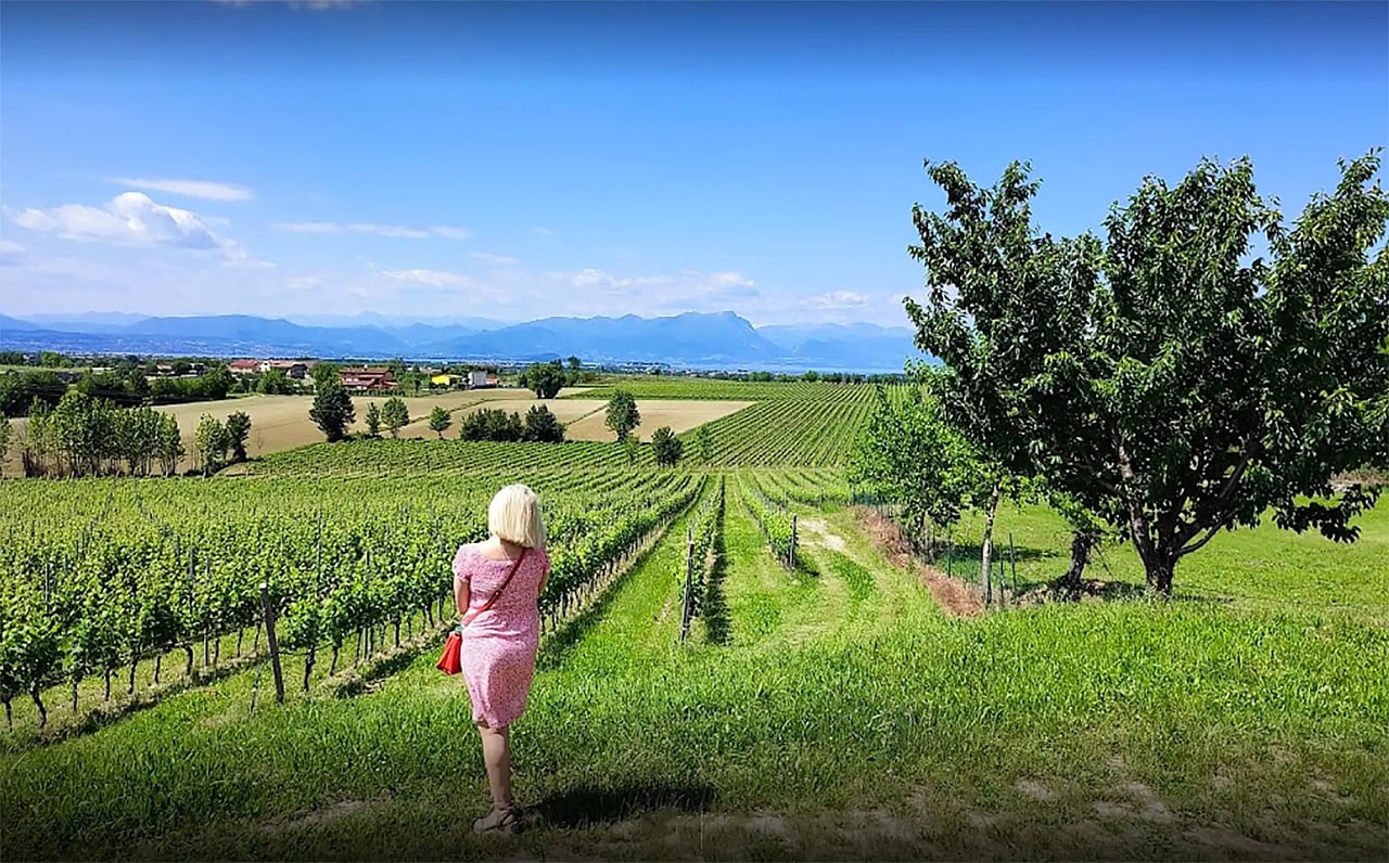 Vineyard Tour and Tasting of Lugana Wines 4