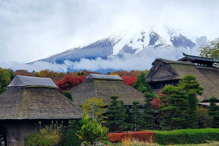 Mt. Fuji and Hakone Private Tour with Bullet Train Return