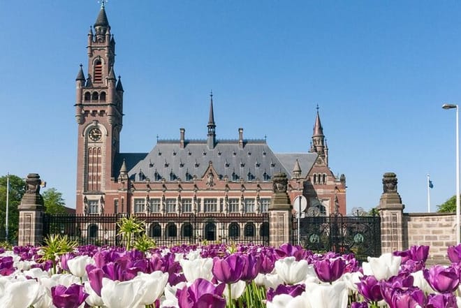 Rotterdam, The Hague & Delft Private VIP Car Tour 6