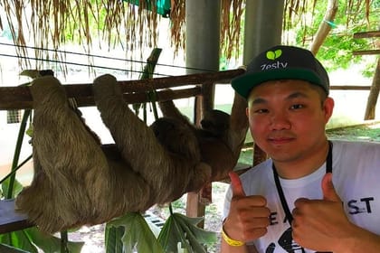 City Tour, Monkeys & Sloths, Beach at Pristine Bay & Transfer