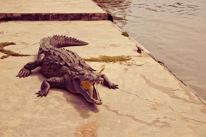 He is just cooling out
