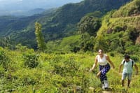 Knuckles and Wasgamuwa Trails from Kandy 7
