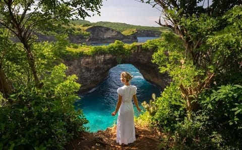 Private Day Trip to Nusa Penida with Driver from Bali