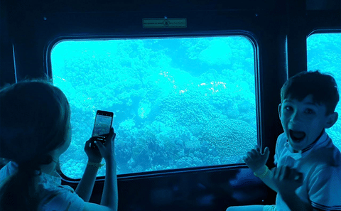 Dolphin Show and Semi-Submarine Tour at Makadi Beach, Hurghada