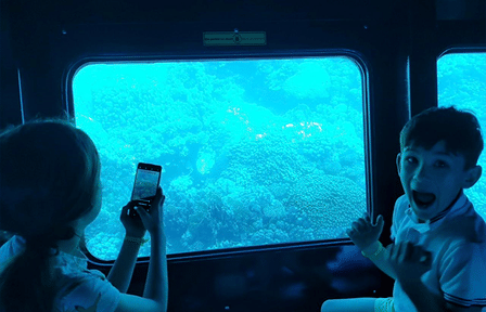 Dolphin Show and Semi-Submarine Tour at Makadi Beach, Hurghada