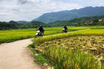 Full Day Motorbike Tour in Pu Luong Nature Reserve