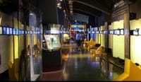 Boca Juniors Stadium Tour and Museum Admission Ticket 2