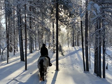 Horseback Riding Tour Through Snowy Landscapes in Kemijärvi