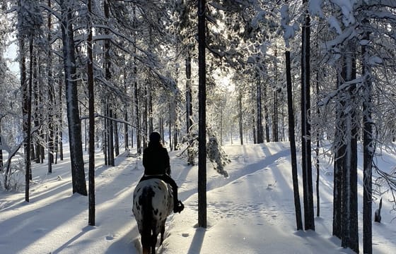 A small group horseback riding tour in the snow
