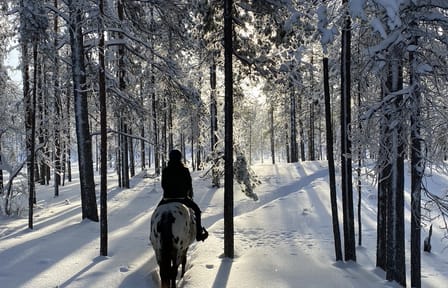 Horseback Riding Tour Through Snowy Landscapes in Kemijärvi