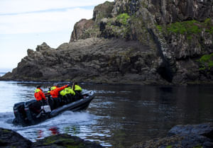 Secret Quest - Nature & Wildlife RIB Safari Private Tour