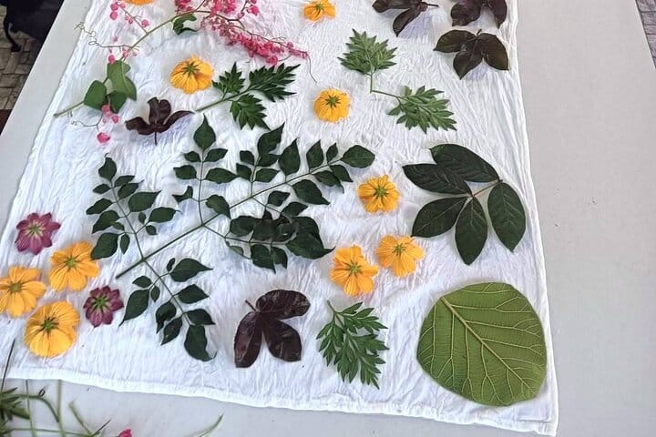 Koh Yao Native Touch & Thai cooking class