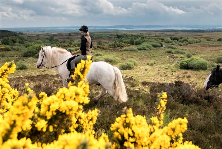 Horse riding the Burren dirt trail. Clare. Guided. 1 hour 6