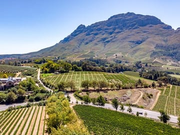 Full Day Wine Tasting Tour in Cape Town and Franschhoek