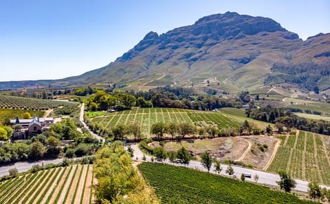 Full Day Wine Tasting Tour in Cape Town and Franschhoek