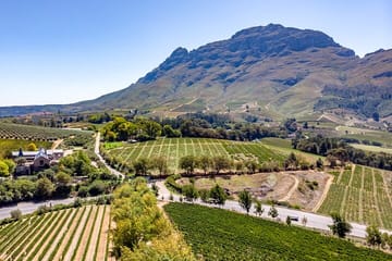 Full Day Wine Tasting Tour in Cape Town and Franschhoek