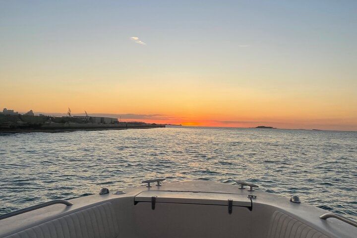 Private Pink Sand Beach Tour: Swim With Pigs, Turtles & Stingrays