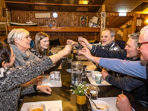 Taste of Reykjavik & Northern Lights Voyage, photo 9
