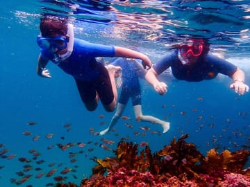 A family snorkeling above a school of fish