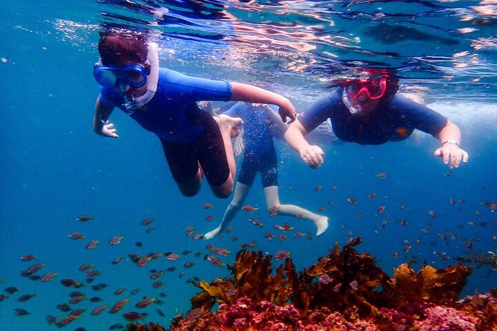 A family snorkeling above a school of fish