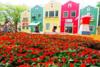 Holambra: Flowers & Windmill, The Little Piece Of Netherlands in Brazil 1