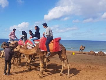 Explore the North From Tangier in 3 Days