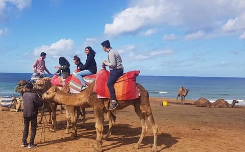 Guided City Tour of Tangier's Main Cultural Highlights