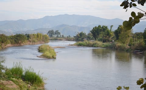 Chiang Rai Highlights: 2-Day Nature and Culture Tour