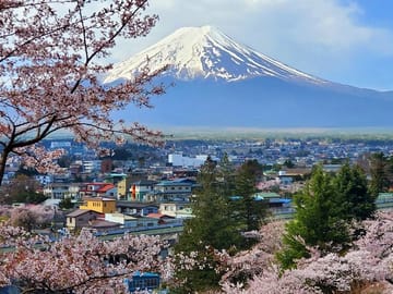 English Guided 3 Days Tokyo, Mt. Fuji and Hakone Private Tour